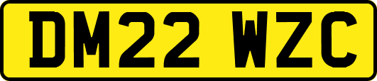 DM22WZC