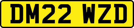 DM22WZD