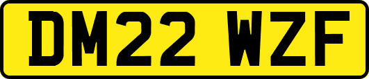 DM22WZF