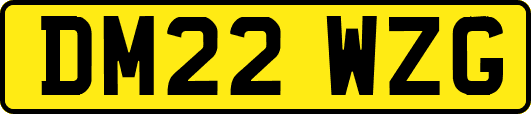 DM22WZG