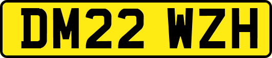 DM22WZH