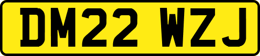 DM22WZJ