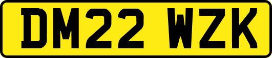 DM22WZK