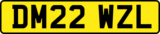 DM22WZL