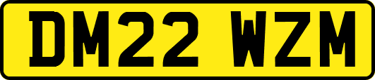 DM22WZM