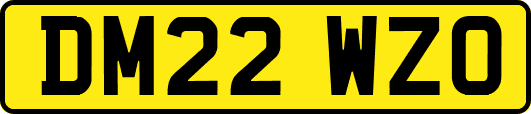 DM22WZO