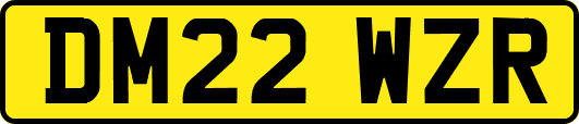 DM22WZR