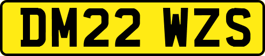 DM22WZS