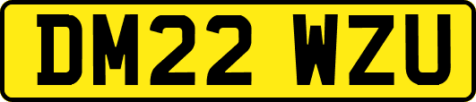 DM22WZU