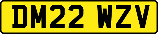DM22WZV