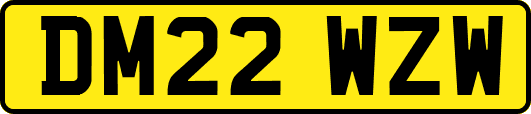 DM22WZW
