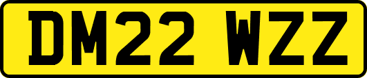 DM22WZZ