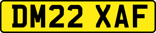 DM22XAF