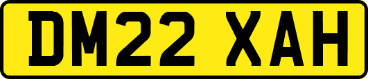 DM22XAH