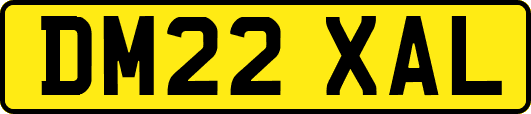 DM22XAL