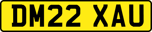 DM22XAU
