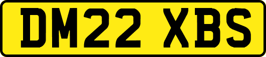 DM22XBS