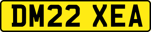 DM22XEA