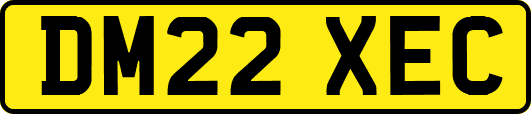 DM22XEC