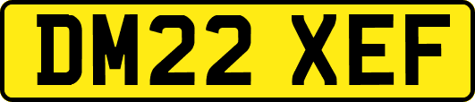 DM22XEF