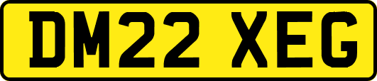 DM22XEG