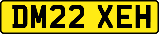 DM22XEH