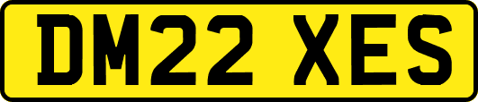 DM22XES