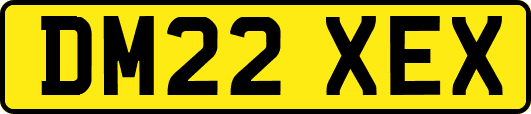 DM22XEX
