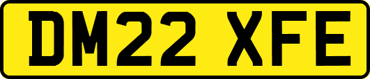 DM22XFE
