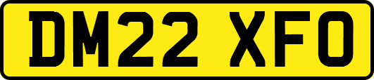 DM22XFO