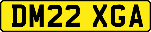 DM22XGA