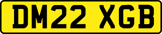 DM22XGB