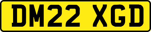 DM22XGD