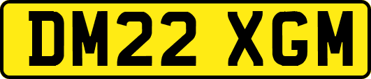 DM22XGM