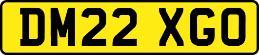 DM22XGO