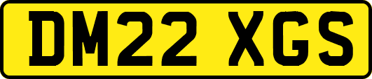DM22XGS