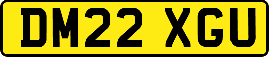 DM22XGU