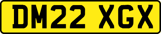 DM22XGX