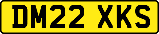 DM22XKS