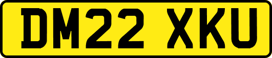 DM22XKU