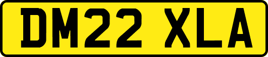 DM22XLA