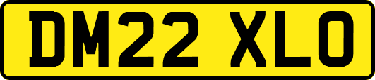 DM22XLO