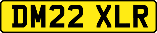 DM22XLR