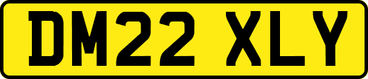 DM22XLY