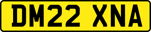 DM22XNA