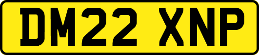 DM22XNP