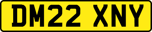 DM22XNY