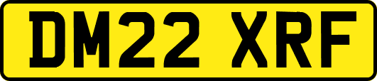 DM22XRF