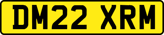 DM22XRM