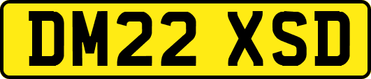 DM22XSD